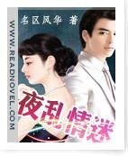 夜乱情迷