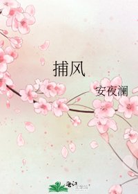 捕风