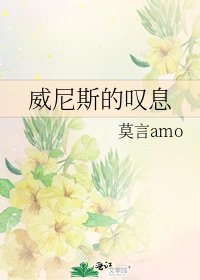 威尼斯的叹息