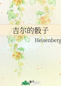 吉尔的骰子