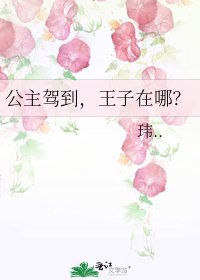 公主驾到,王子在哪?