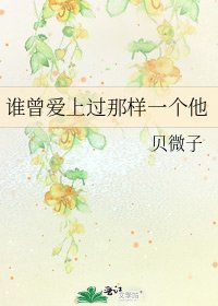 谁曾爱上过那样一个他