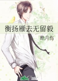 衡扬雁去无留毅