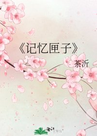 记忆匣子