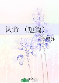 认命 (短篇)